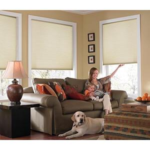 Custom Cordless Cellular Shades, Light Filtering, 24W x 48H, Daylight Sizes 21 to 72 Wide