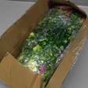 Der Rose 24 Bundles Fake Flowers Artificial Dasiy Faux Flowers Bulk for Outdoor Spring Garden Porch Farmhouse Decor,24- Multi-color a