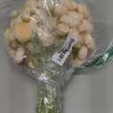 Alupssuc 30Pcs Ranunculus Artificial Flowers Faux Silk Mini Ranunculus, Spring Flowers Artificial Indoor for DIY Bouquets, Bulk Fake Wedding Filler Flowers for Bride Decorations & Arrangements, Cream