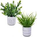 Winlyn Set of 2 Artificial Potted Plants Potted Eucalyptus Plant Artificial Grass in Modern Concrete Plant Pots Outdoor