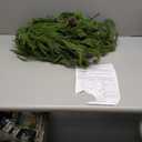 2 Pcs 6 Feet Christmas Garland - Real Touch Norfolk Pine Garland - Green Realistic Pine Garland for Table Mantel Indoor Outdoor Holiday Decor - Greenery Christmas Decorations - Free LED String Lights