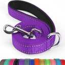 4/5/6 Ft Dog Leash with Neoprene Handle and Highly Reflective Strips on Both Side, Strong Nylon Dog Leash for Traning and Walking, Purple, 4FT
