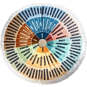 party greeting Wheel of Emotions Feelings Pillow Round Velvet Feelings Wheel Emotion Throw Pillow Circle Seating Floor Cushion for Office Home Room Sofa Decor Counselor Physical Therapist Gifts(Boho)