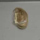 CJL HAIR Claw Clip Short Ponytail Hair Extensions DIY Bendable Metals Messy Bun Hair Piece for Wonen Straight Synthetic Fake Hairpieces Dirty Blonde