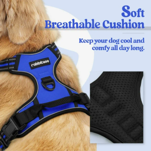 rabbitgoo Dog Harness No Pull with 2 Leash Clips, Adjustable Soft Padded, Reflective Oxford No Choke Pet Vest with Easy Control Handle for Large Dogs, Black, L