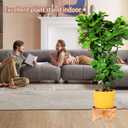 Drink Dispenser Stand, Beverage Dispenser Stand and Plant Stand, Fit Max 7.87 Inch Diameter of Glass Drink Dispenser, Plant Pot, Water Jugs, Water Pitcher and Containers, Natural Bamboo Wood