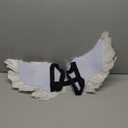 Rypet Pet Halloween Angel Costume - White Angel Feather Wings Halloween Cosplay Dress Up Accessories Puppy Cat Costume for Party Decoration