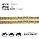 Gold 530 X-Ring Chain 130 Links with Connecting Master Link and Chain Breaker (530HX-130L Chain Breaker Set)