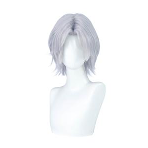 Short Silver Grey Hair Wig for Men Short Cosplay Wigs Middle Part Male Role Anime Game Costume Wigs Cosplayer Synthetic Wig