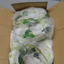 ZINHO 60 Branches Wisteria Hanging Flowers, Artificial White Wisteria Flowers Garland for Wedding Arch Ceremony Party Garden Home Backdrop Decor