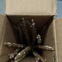 HMASYO 15 Inch Twinkling Starburst Christmas Tree Star Topper, 19-Point Gold Star Tree Topper with 150 LED, Remote Control & Timer, USB Power for Indoor Home Holiday Party Xmas Tree Decoration