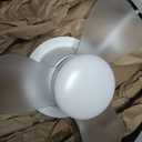 20" RGB Ceiling Fans with Lights, Low Profile Ceiling Fan, 6 Wind Speeds
