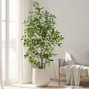 Bailikang Artificial Ficus Tree Indoor 6ft, Large Potted Faux Tree with Realistic Silk Leaves & Trunk for Home Office, Living Room Corner Decor