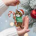 Bengal Cat Ornament | Hugging Candy Cane 2D Flat Acrylic Ornament - Cute Christmas Tree Decoration, Cat Lover Gifts 2025