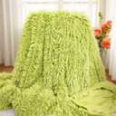Plush Super Soft Blanket Bedding Sofa Cover Furry Fuzzy Fur Warm Throw Qulit Cozy Couch Blanket for Winter (51"x63",Yellow Green)