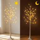 6 Feet Lighted White Birch Tree, Warm White USB 8 Modes Dimmable Control for Indoor Outdoor White Birch Tree Lights, Thanksgiving Christmas Decorations Pre-Lit Artificial Tree (Warm White)