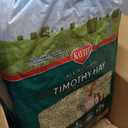 Kaytee Timothy Hay, High Fiber, Grown Specifically for Small Animals, Rabbits, Guinea Pigs, Chinchillas, 96 Ounces (EXP 02/07/27)