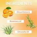 3PC Cat Deterrent Spray, Natural Cat Spray Deterrent for Urine Marking & Scratching, Safe Indoor & Outdoor Effective Cat Scratch Deterrent Training Aid