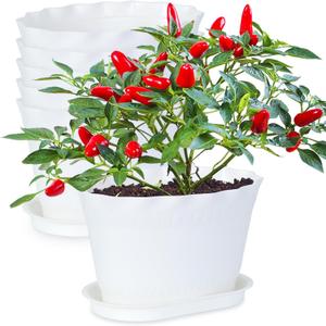 Herb Planter Pots 6 Pcs, Window Box Planter Flower Plants Pots for Succulent Cactus Flower with Trays, for Home Garden Kitchen Decor (White)