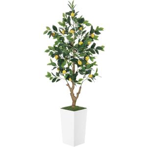 5FT Artificial Lemon Tree with Pot - 60" Fake Lemon Tree with White Tall Planter, Faux Lemon Plant with Realistic Fruits and Silk Leaves, Artificial Plants Indoor for Home Office Kitchen Decor
