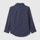 GAP Boys' Long Sleeve Flannel Button-Down Shirt (Blue)