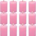 12 Pack 2x3 Inch Pink Pillar Candles for Romantic Valentine's Day, Unscented Column Candles for Home Restaurants Spa Church Weddings, Smokeless Dripless and Clean Burning Emergency Candle