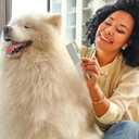 Dog & Cat Comb Removes Tangles, Knots, and Matted Fur Grooming Tool with Stainless Steel Teeth and Non-Slip Handle Best Pet Hair Comb for Home Grooming Kit Includes eBook Guide