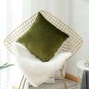 Home Brilliant Spring Pillow Covers 18x18 Velvet Pillow Cases Solid Decorative Square Throw Pillow Covers for Sofa Bedroom Holiday Decor, 45cm (18x18 inches), Avocado Green