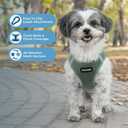 Best Pet Supplies Voyager Step-in Air Harness - All Weather Mesh, Reflective, No Pull Harness for Dogs, Cats - Secure with Hook & Loop Fastener, Buckle, Double D-Rings - Moss Green, M