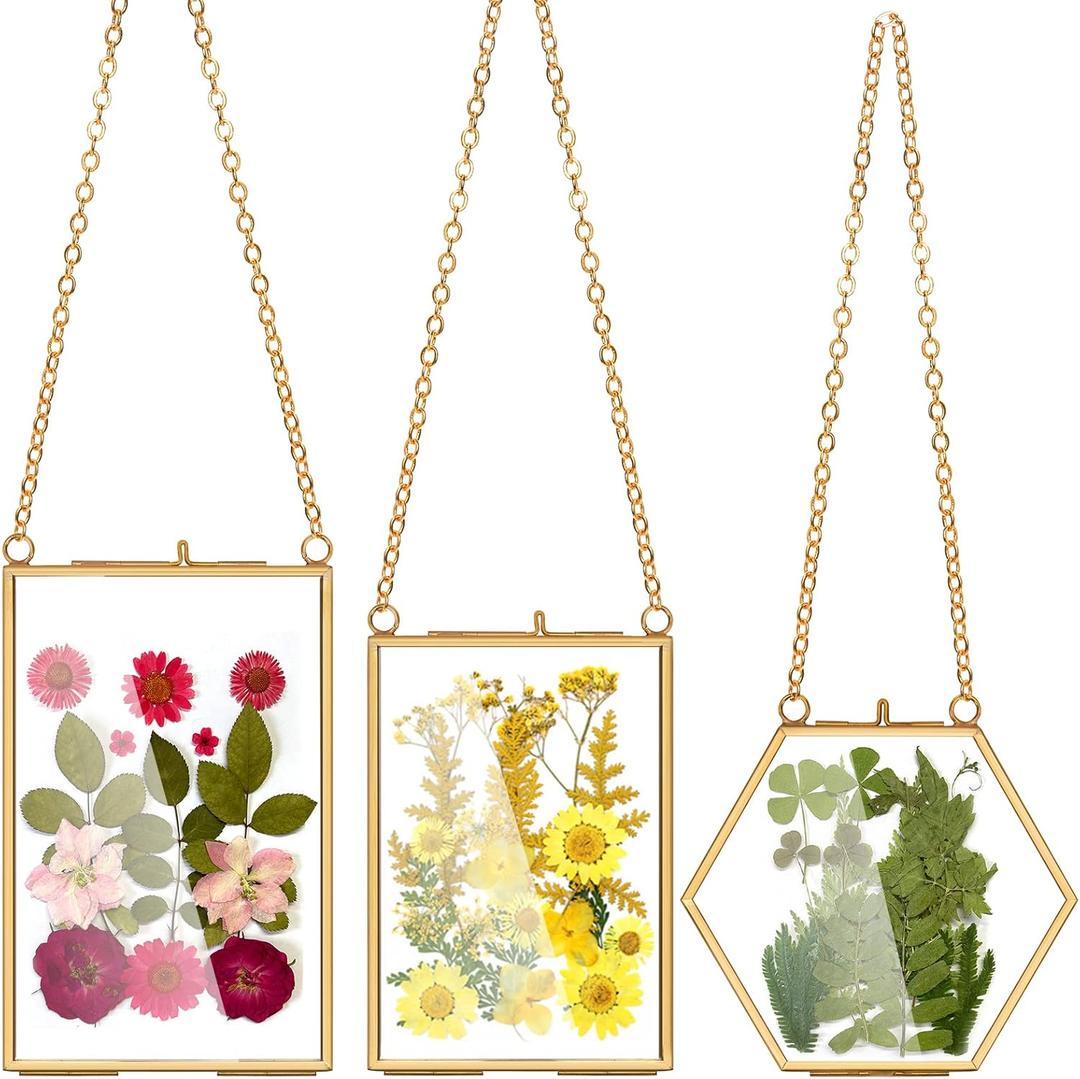 AVLA 3 Pack Pressed Flowers Glass Frames, Brass Hanging Picture Frames with Chain, Small Golden Floating Photo Frame, Clear DIY Artwork Display Frame for Wall Decor, Dried Plant Specimen