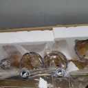 CLAXY Vintage Rustic Vanity Lights Amber Glass Wall Sconces-5 Lights