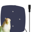 Bird Heater, Thermostatical Bird Warmer for Parakeets, IP67 Waterproof Bird Accessories and Supplies, 12V