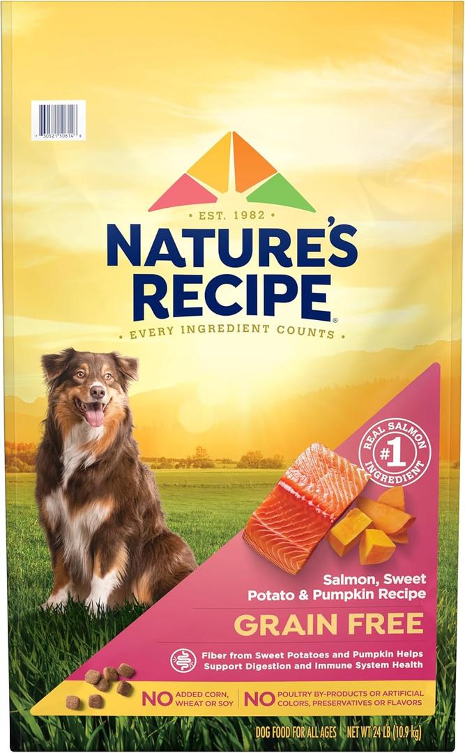 Nature's Recipe Grain Free Salmon, Sweet Potato & Pumpkin Recipe Dry Dog Food, 24 lb. Bag (24 Pound (Pack of 1)), Best By: OCT/12/2026