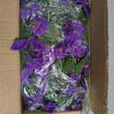 Artificial Fake Hanging Plants Flowers Basket for Outdoors Spring Summer Decoration, Silk Purple Morning Glory Eucalyptus UV Sun Resistant Realistic Faux Flowers for Outside Porch Patio Balcony Home