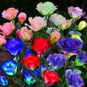 ANGMLN Solar Garden Lights, 6 Pack Solar Flower Lights Outdoor Waterproof with 30 Head Realistic Rose 7-Color Changing Landscape Light for Garden Yard Pathway Patio Grave Cemetery Decoration