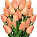 10 Pcs Peach Tulips Artificial Flowers Real Touch Fake Tulips Fake Flowers for Mother's Day 13.5" Faux Tulips Faux Flowers Bulk Artificial Tulips Flowers for Vase Centerpieces Home Wedding Bouquet