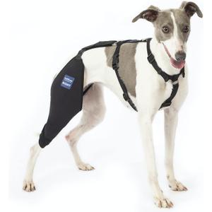 Dog Knee Brace with Harness and Connection Belt, Lightweight and Stretchable, Support for Torn ACL Hind Leg, Luxating Patella, Reduces Arthritis Pain and Inflammation (Medium)