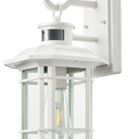 VIANIS Motion Sensor Exterior Lights for House, White Dusk to Dawn Outdoor Lighting, 100% Waterproof Front Porch Light Fixtures, Modern Exterior Sconce with Tempered Seeded Glass for Garage