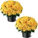 FOTEEWL Artificial Hydrangea Flower Topiary Trees - 2 Sets Faux Silk Flower Potted Plant, UV Resistant Fake Outdoor Hydrangea Bush for Front Door, Farmhouse,Garden, Porch Decor (Yellow)