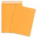 9x12 Envelopes Self Seal 50 Pack Manilla Envelopes Catalog Mailing Envelopes 9x12 Self Sealing Envelopes for Photos,Cards,Documents