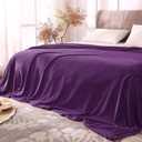 BEDELITE Fleece Blankets Queen Size Purple Throw Blankets for Bed, Luxury Plush Cozy Fuzzy Blanket 90x90 inches, Super Soft Warm Lightweight Throw Blanket All Seasons Suitable