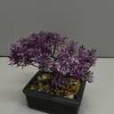Artificial Bonsai Tree Juniper Faux Plants Indoor Fake Plants Decor with Black Ceramic Pots for Home Table Office Desk Bathroom Shelf Bedroom Living Room Farmhouse Decorations-Purple