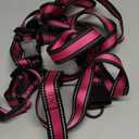Mile High Life Night Reflective Double Adjustable Band Nylon Small Puppy Pet Dog Combo Collar Leash and Harness Set (Reflective Edge Pink, Large Pack of 3)