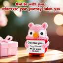 Owl Crochet Retirement Gift for Female Coworker Teacher, Cute Handmade Pink Owl Birthday Present for Mom or Friend, Funny Farewell Keepsake, Handmade Collectible Party Decoration