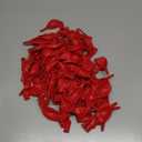 Creativ Art and Craft Supply, Vibrant, One Size