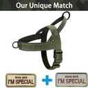 Green No Pull Dog Harness for Small Medium Large Sized Dog, Reflective Escape Proof Adjustable Dog Harnesses with 2 Patch, XL