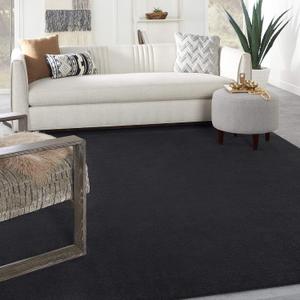 Nourison Home Nourison Essentials Black 8' x 10' Area Rug - Easy Clean, Non Shedding, Bed Room, Living Room, Dining Room, Kitchen (8' x 10')