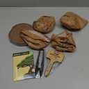 Bonsai Starter Kit - Gardening Easter Gift for Women & Men - Bonsai Tree Growing Garden Crafts Hobby Kits for Adults, Unique DIY Hobbies for Plant Lovers - Unusual Christmas Gifts Ideas