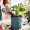 LE TAUCI Ceramic Pots for Plants, 5.5 Inch Plant Pots with Drainage Hole and Saucer, Indoor Plant Pots for Succulent, Snake Plants and Cactus, Flower Pots, Set of 2, Reactive Glaze Blue