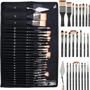 Nicpro 26pcs Paint Brush Set, Professional Paintbrushes with Palette Knife, Craft Paint Brushes for Acrylic Painting, Oil, Watercolor, Gouache & Canvas, Drawing & Art Supplies for Adults, Kids Artists (Black)